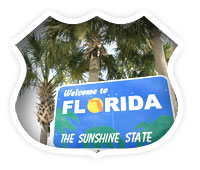 Go Online at the Florida DHSMV