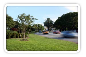 Pembroke Pines Speeding Ticket Classes